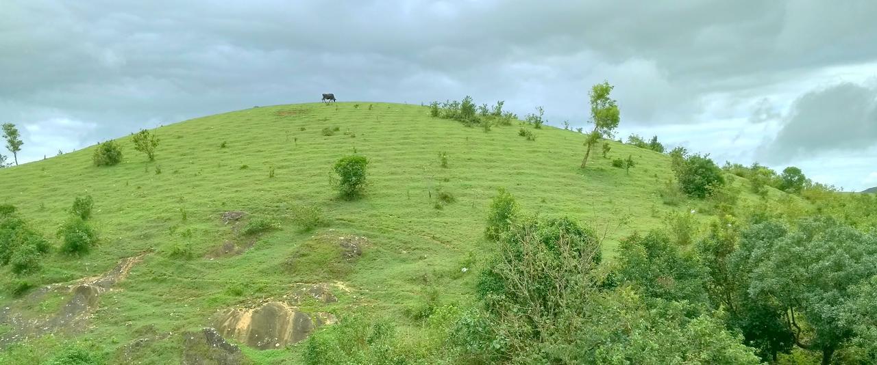 Vagamon Clouds Hotel Buitenkant foto