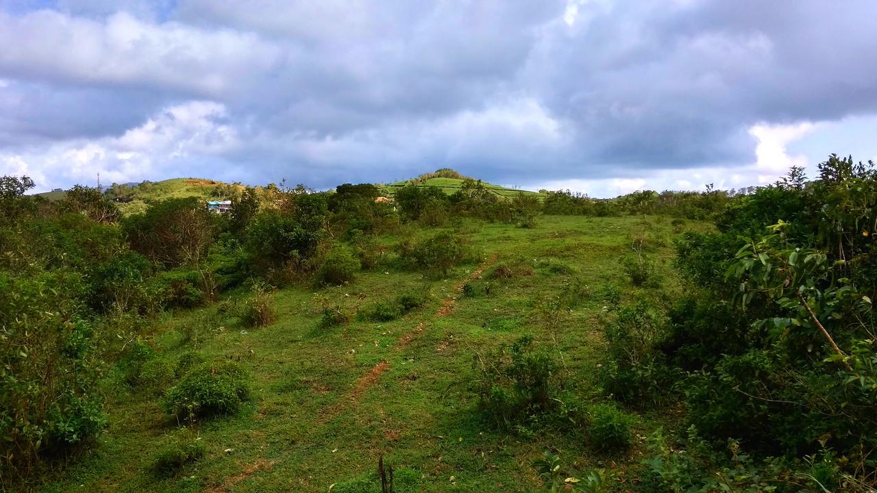 Vagamon Clouds Hotel Buitenkant foto